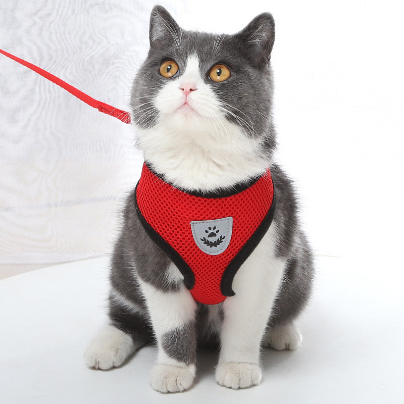 Cat Harness Vest