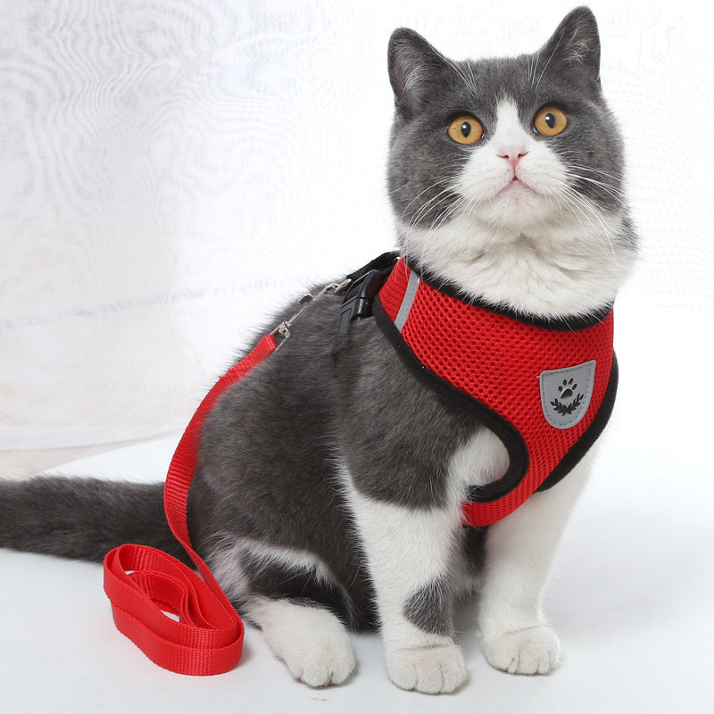 Cat Harness Vest