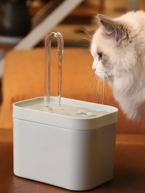 Cat Drinking Fountain