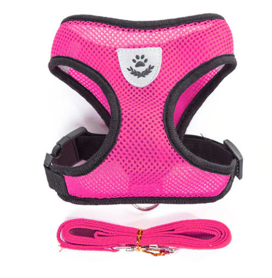 Cat Harness Vest