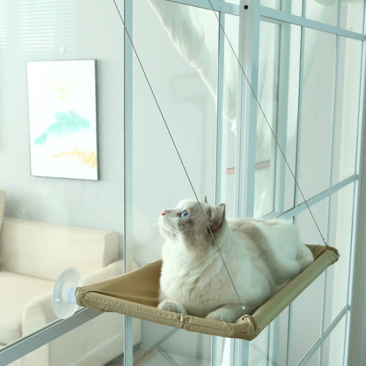 Cat Hanging Bed