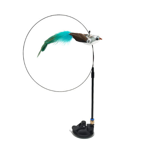 Interactive Bird Wand